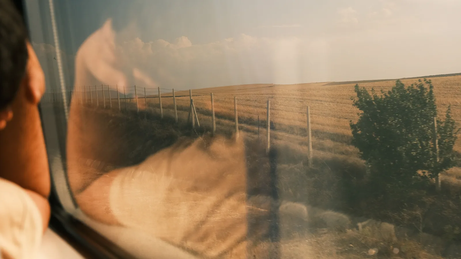 The view through a train window
